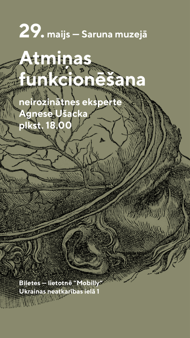 Anatomiskais zīmējums fonā ar galvu un redzamām smadzenēm. Ar tekstu 